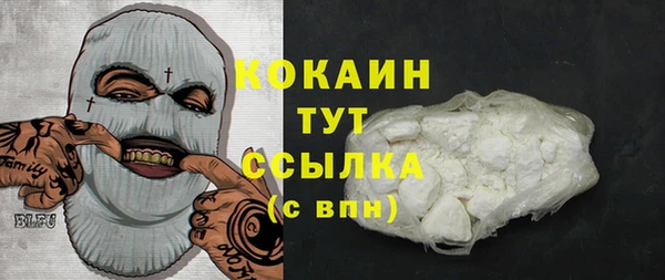 ГАЛЛЮЦИНОГЕННЫЕ ГРИБЫ Арсеньев