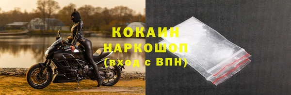 ГАЛЛЮЦИНОГЕННЫЕ ГРИБЫ Арсеньев