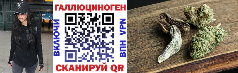 наркота  Могоча  Псилоцибиновые грибы Cubensis 